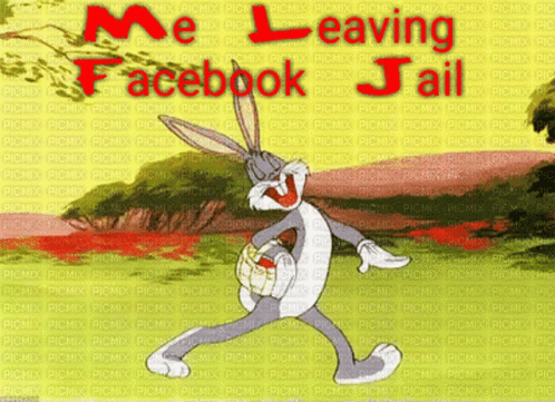 walking out of facebook jail